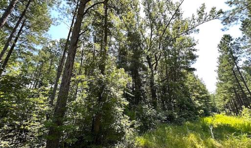 Photo #14 of Off Quarry Rd , Emporia, VA 11.7 acres