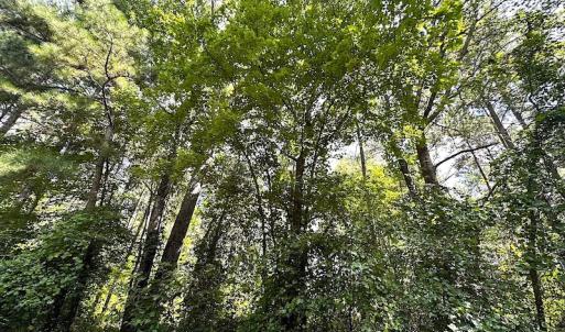 Photo #15 of Off Quarry Rd , Emporia, VA 11.7 acres