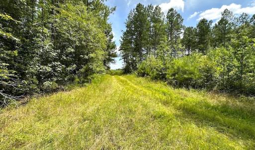 Photo #17 of Off Quarry Rd , Emporia, VA 11.7 acres
