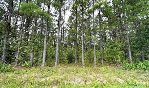 Photo #18 of Off Quarry Rd , Emporia, VA 11.7 acres