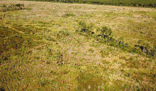 Photo #2 of Off Carolina Rd, Suffolk, VA 115.0 acres