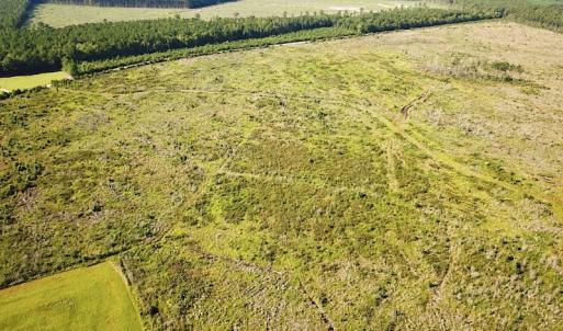 Photo #3 of Off Carolina Rd, Suffolk, VA 115.0 acres