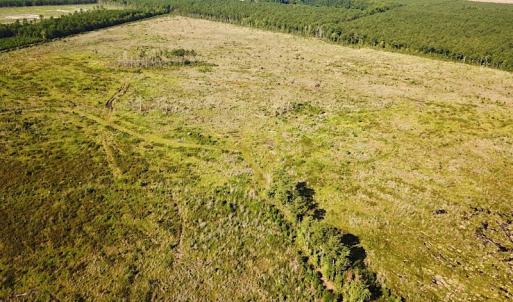 Photo #4 of Off Carolina Rd, Suffolk, VA 115.0 acres