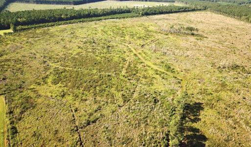 Photo #5 of Off Carolina Rd, Suffolk, VA 115.0 acres