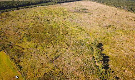 Photo #6 of Off Carolina Rd, Suffolk, VA 115.0 acres