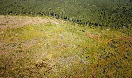 Photo #7 of Off Carolina Rd, Suffolk, VA 115.0 acres