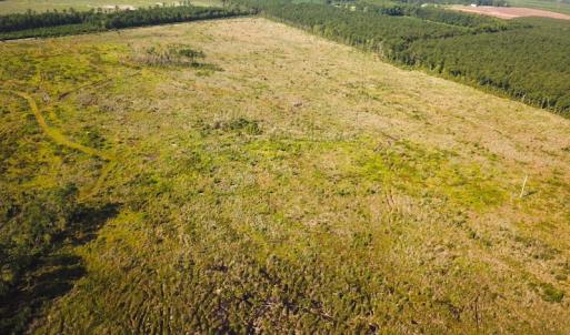 Photo #8 of Off Carolina Rd, Suffolk, VA 115.0 acres
