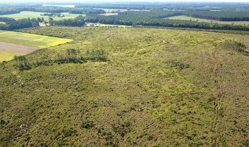 Photo #9 of Off Carolina Rd, Suffolk, VA 115.0 acres