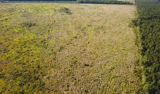 Photo #10 of Off Carolina Rd, Suffolk, VA 115.0 acres