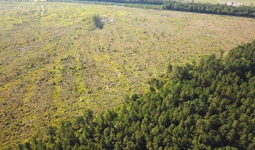 Photo #11 of Off Carolina Rd, Suffolk, VA 115.0 acres