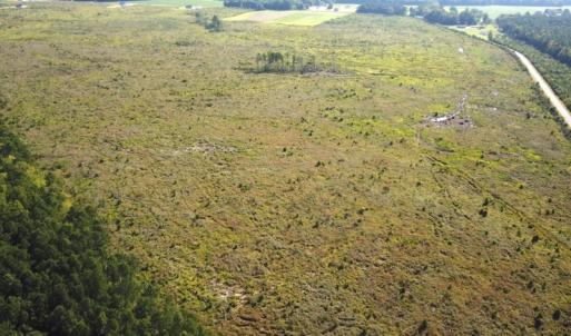Photo #12 of Off Carolina Rd, Suffolk, VA 115.0 acres