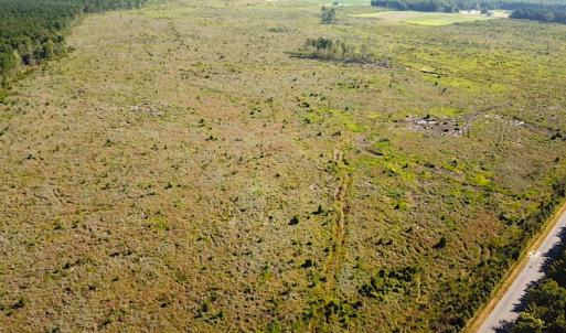 Photo #13 of Off Carolina Rd, Suffolk, VA 115.0 acres