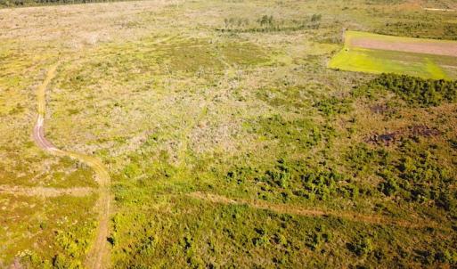 Photo #14 of Off Carolina Rd, Suffolk, VA 115.0 acres