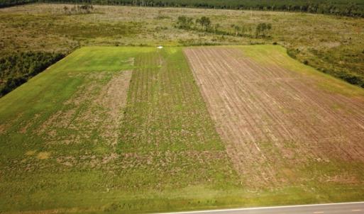 Photo #15 of Off Carolina Rd, Suffolk, VA 115.0 acres