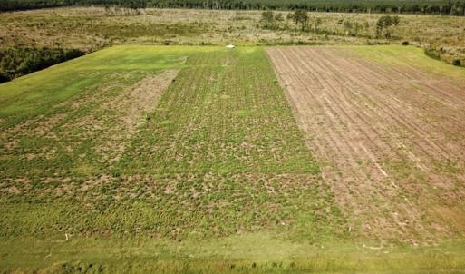 Photo #16 of Off Carolina Rd, Suffolk, VA 115.0 acres