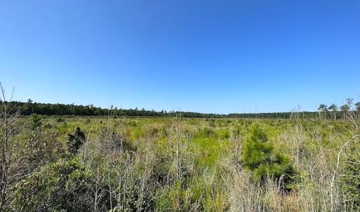 Photo #28 of SOLD property in Off Carolina Rd, Suffolk, VA 115.0 acres