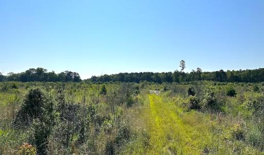 Photo #30 of SOLD property in Off Carolina Rd, Suffolk, VA 115.0 acres