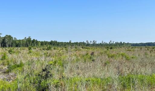 Photo #31 of SOLD property in Off Carolina Rd, Suffolk, VA 115.0 acres