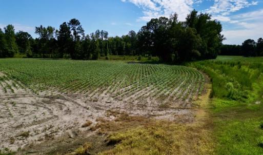 Photo #11 of SOLD property in 2050 Firestone Parkway, Wilson, NC 31.9 acres