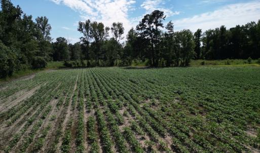 Photo #12 of SOLD property in 2050 Firestone Parkway, Wilson, NC 31.9 acres