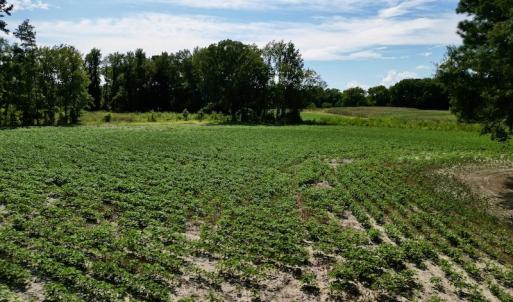 Photo #13 of SOLD property in 2050 Firestone Parkway, Wilson, NC 31.9 acres