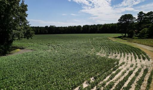 Photo #14 of SOLD property in 2050 Firestone Parkway, Wilson, NC 31.9 acres
