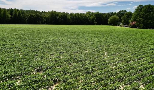 Photo #15 of SOLD property in 2050 Firestone Parkway, Wilson, NC 31.9 acres