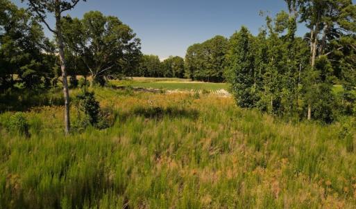 Photo #16 of SOLD property in 2050 Firestone Parkway, Wilson, NC 31.9 acres