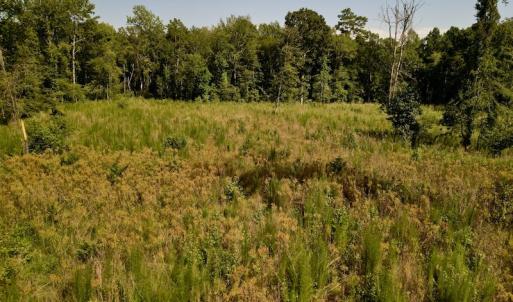 Photo #17 of SOLD property in 2050 Firestone Parkway, Wilson, NC 31.9 acres
