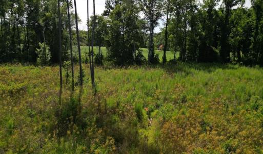 Photo #18 of SOLD property in 2050 Firestone Parkway, Wilson, NC 31.9 acres