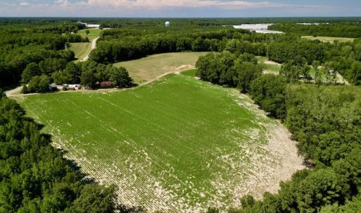 Photo #4 of SOLD property in 2050 Firestone Parkway, Wilson, NC 31.9 acres