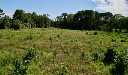 Photo #9 of SOLD property in 2050 Firestone Parkway, Wilson, NC 31.9 acres