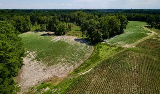 Photo #10 of SOLD property in 2050 Firestone Parkway, Wilson, NC 31.9 acres