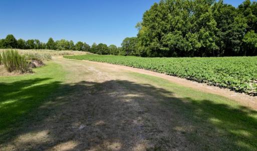 Photo #29 of SOLD property in 2050 Firestone Parkway, Wilson, NC 31.9 acres
