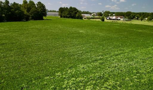 Photo #12 of SOLD property in Off Old Hwy 70, Cove City, NC 11.8 acres