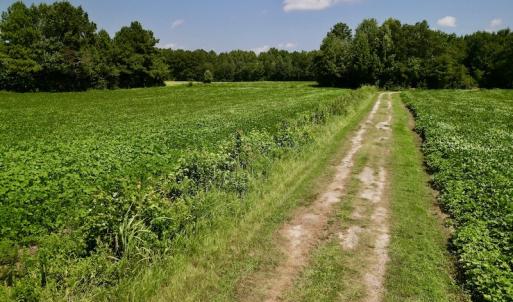 Photo #13 of SOLD property in Off Old Hwy 70, Cove City, NC 11.8 acres