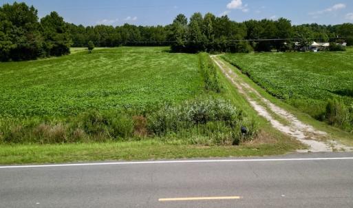 Photo #15 of SOLD property in Off Old Hwy 70, Cove City, NC 11.8 acres