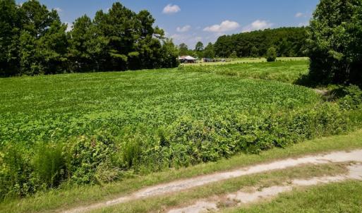 Photo #18 of SOLD property in Off Old Hwy 70, Cove City, NC 11.8 acres