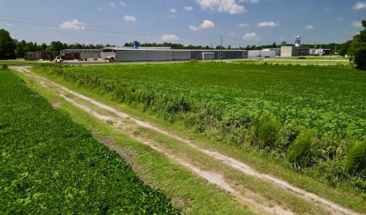 Photo #19 of SOLD property in Off Old Hwy 70, Cove City, NC 11.8 acres