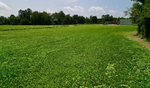 Photo #20 of SOLD property in Off Old Hwy 70, Cove City, NC 11.8 acres