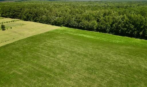Photo #5 of SOLD property in Off Old Hwy 70, Cove City, NC 11.8 acres