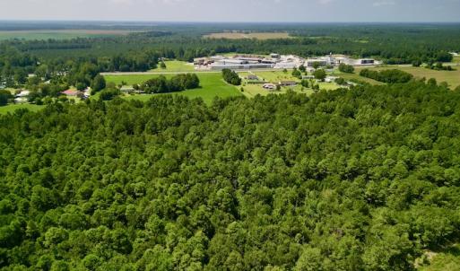 Photo #6 of SOLD property in Off Old Hwy 70, Cove City, NC 11.8 acres