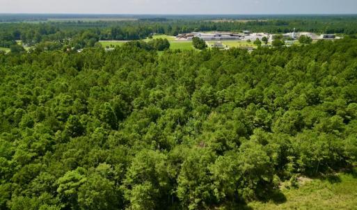 Photo #7 of SOLD property in Off Old Hwy 70, Cove City, NC 11.8 acres