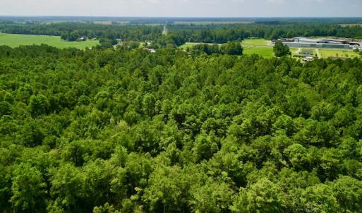Photo #8 of SOLD property in Off Old Hwy 70, Cove City, NC 11.8 acres