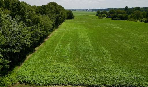 Photo #10 of SOLD property in Off Old Hwy 70, Cove City, NC 11.8 acres