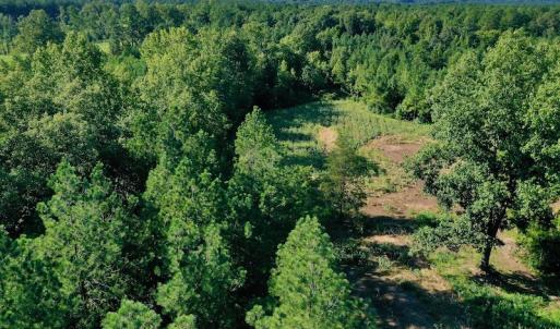 Photo #39 of SOLD property in 46 Dennis Road, Wadesboro, NC 25.2 acres
