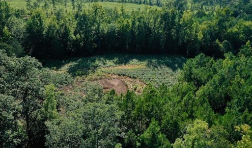 Photo #43 of SOLD property in 46 Dennis Road, Wadesboro, NC 25.2 acres