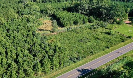 Photo #46 of SOLD property in 46 Dennis Road, Wadesboro, NC 25.2 acres