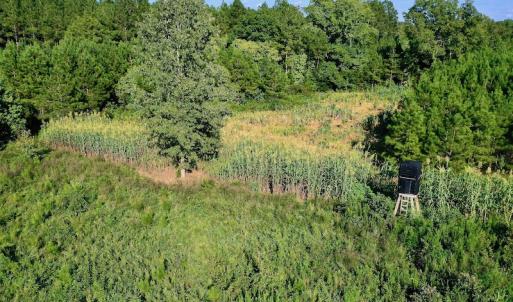 Photo #47 of SOLD property in 46 Dennis Road, Wadesboro, NC 25.2 acres