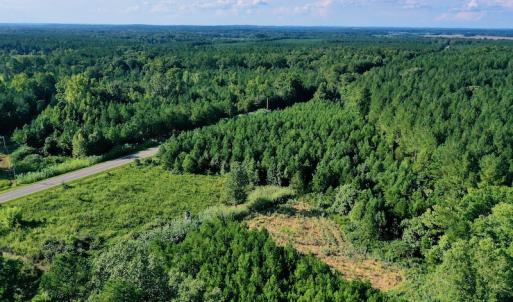 Photo #48 of SOLD property in 46 Dennis Road, Wadesboro, NC 25.2 acres